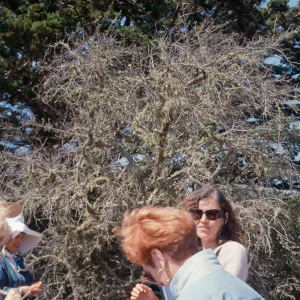 Docent field trip to Point Lobos with Mary Carroll