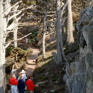 Docent field trip to Point Lobos with Mary Carroll