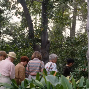 Docent field trip to Virginia Robinson Gardens, Beverly Hills