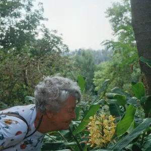 Docent field trip to Virginia Robinson Gardens, Beverly Hills