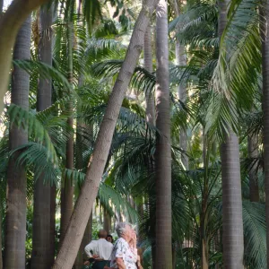 Docent field trip to Virginia Robinson Gardens, Beverly Hills