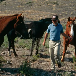 Lyndal with horses