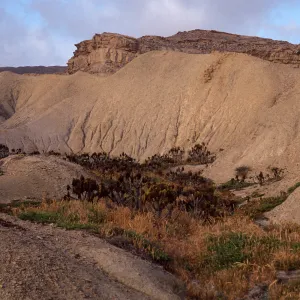Hills, S. of Twin Rivers, south side, San Nicolas Island
