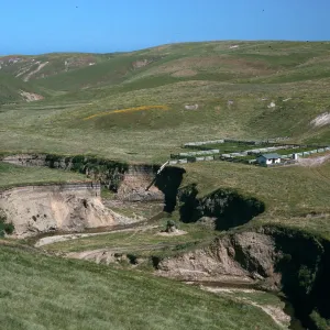Arlington Canyon, Santa Rosa Island