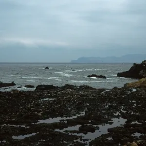 tidepools, just W. of Carrington Point peninsula, Santa Rosa Island