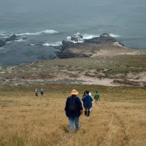 Carrington Point, Santa Rosa Island