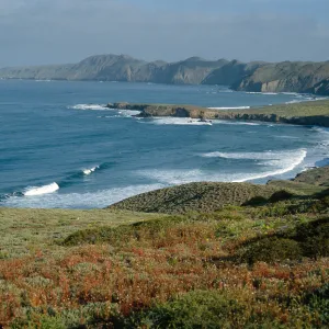 W. side of island, looking north, Natividad I.