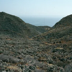 Natividad Island