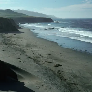 Beach, East side, Natividad Island