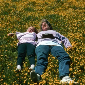 Ashley & Karen, Lasthenia, Santa Rosa Island.