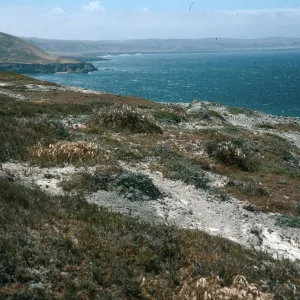 SW anchorage from Skunk Point peninsula, Santa Rosa Island
