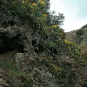 Bluffs just west of Prisoners Harbor, Santa Cruz Island