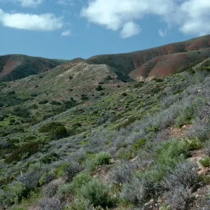 View from Coches Prietos reach area, Santa Cruz Island