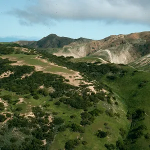 South side, just W of TNC/Gherini boundary, Santa Cruz Island