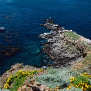 trail down to Rat Rock, W. Anacapa Island