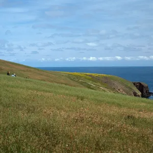 Trail south of landing cove
