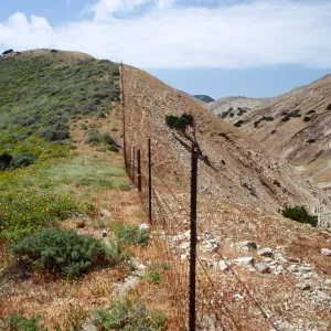 Fenceline, just W. of Montañon Cyn