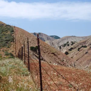 Fenceline, just W. of Montañon Cyn., 