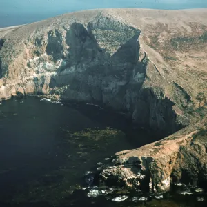 North side of Santa Barbara Island