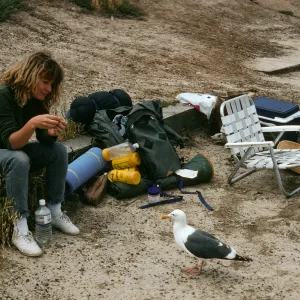 Holly Strand & seagull, campground, Santa Barbara Island