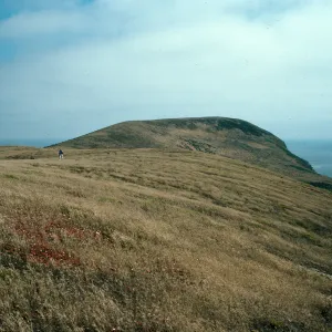 looking south from North Peak, Santa Barbara Island