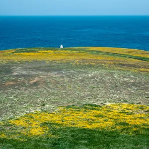 Arch Point, Santa Barbara Island