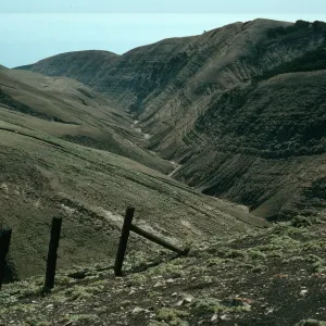 canyon on S side at sheep fence bet. Stanton & Gherini Ranches