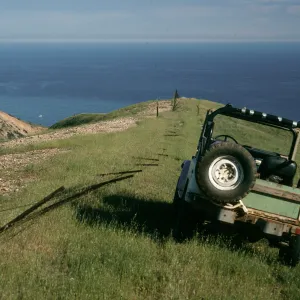 Downed sheep fence, TNC/ Gherini boundary