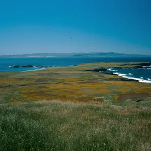 Fraser Point, Santa Rosa Island in distance.