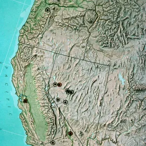 Lyonothamnus-fossil distribution