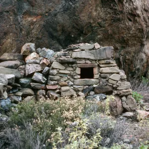 Cedros Island