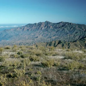 Cedros Island