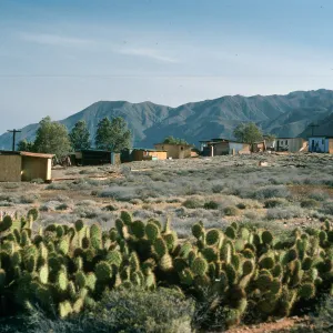 Cedros Island, Campo Punta Norte