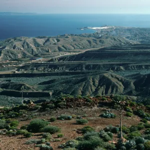 Cedros Island