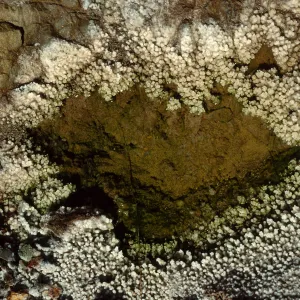 Cedros Island, crystals in creek, Canon de la Mina