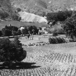 Santa Barbara Historical Society, Stanton Ranch
