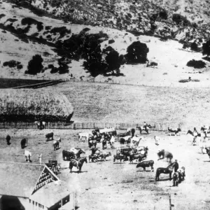 Santa Barbara Historical Society, Stanton Ranch