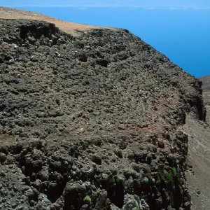 Guadalupe Island, cliffs below road, lower circus, Perityle incana, Calystegia