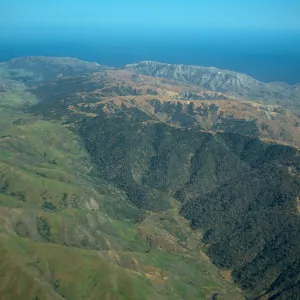 Santa Cruz Island, Christy Pines, looking East