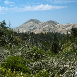 Santa Cruz Island, Christy Pines, view of Sierra Blanca