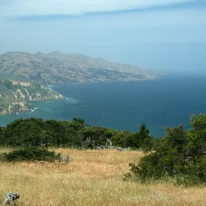 Santa Cruz Island, looking West from China Pines
