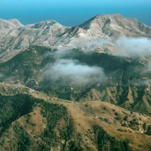 Santa Cruz Island, Christy Pines, Sierra Blanca ridge
