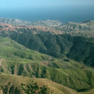 Santa Cruz Island, Christy Pines