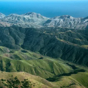Santa Cruz Island, Christy Pines