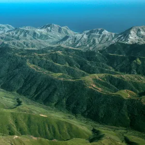 Santa Cruz Island, Christy Pines
