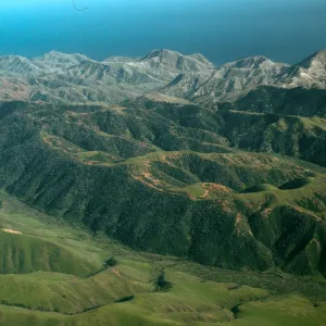 Santa Cruz Island, Christy Pines