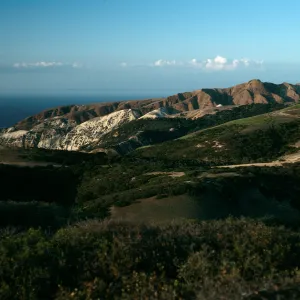 Santa Cruz Island, China Pines