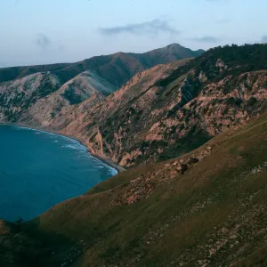 Santa Cruz Island, China Pines at dusk