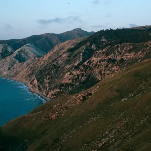 Santa Cruz Island, China Pines at dusk