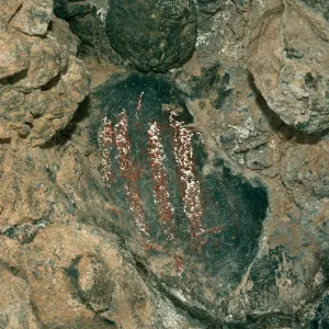 Santa Cruz Island, Olsen's Cave